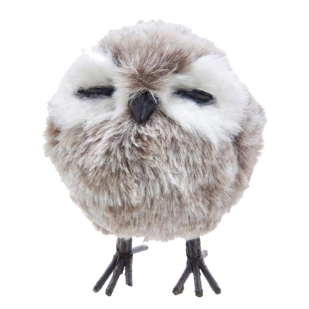 Owl RAZ Imports